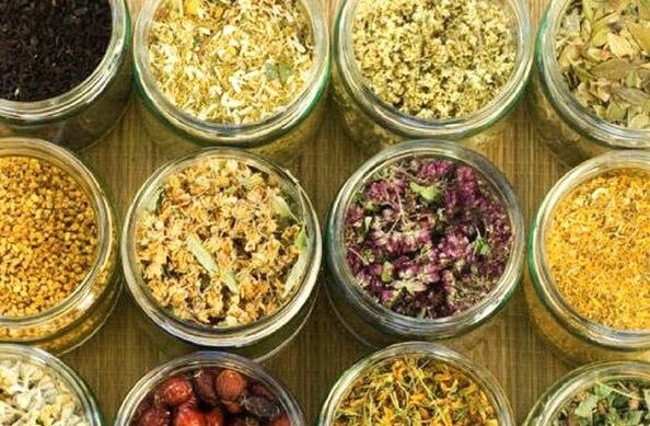 halk ilaçlarını kullanarak parazitlerin vücudunu temizlemek