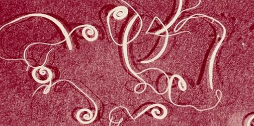 insan vücudundaki parazitlerin fotoğrafı