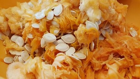 parazitler için kabak posası ve tohumları